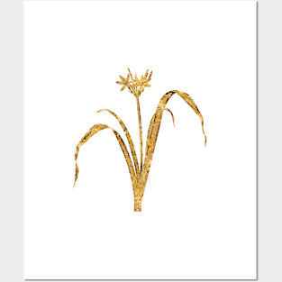 Vintage Gilded Small Flowered Pancratium Botanical Gold Leaf Posters and Art